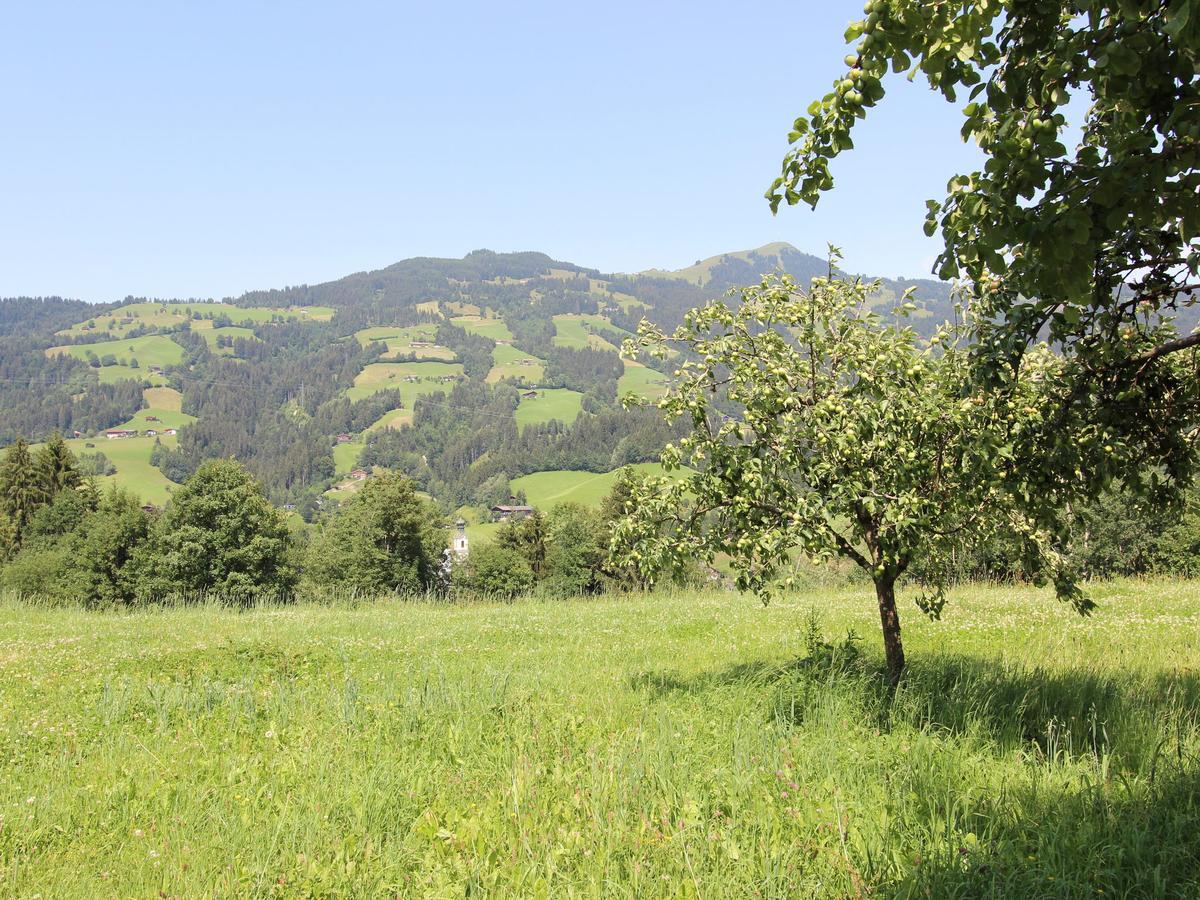 Apartment Blaickenhof Hopfgarten im Brixental Eksteriør bilde